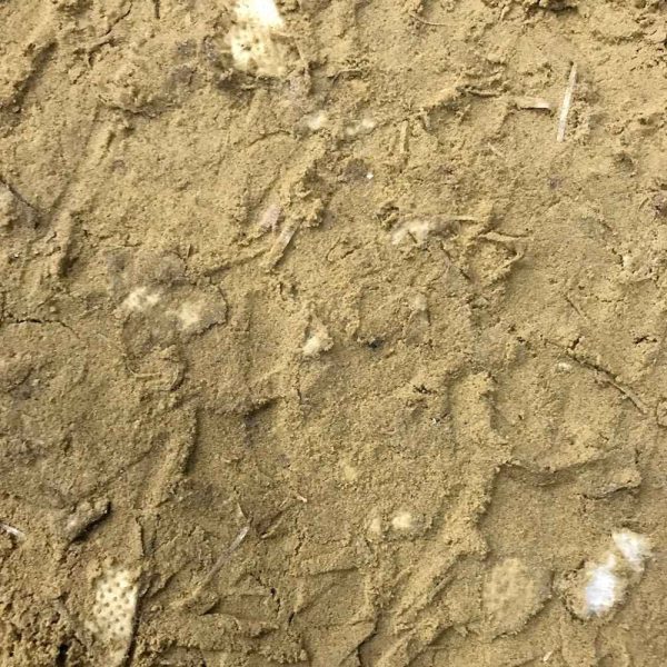 Geel rijbakzand voor binnenbak en buitenbak