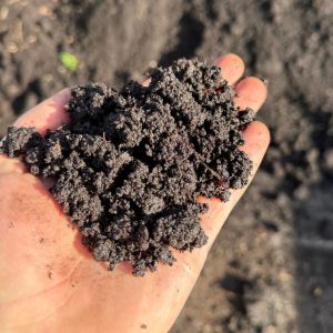 Tuinturf-2
