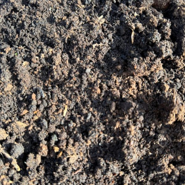 Tuinturf