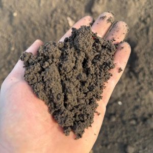 Zwarte grond-1