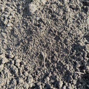 Zwarte grond
