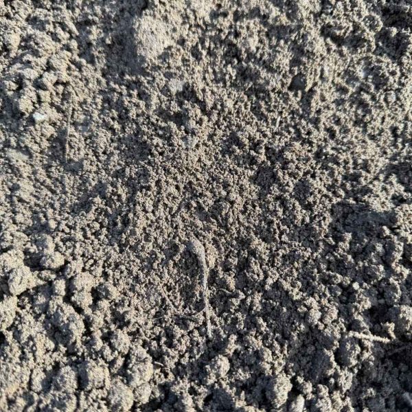 Zwarte grond