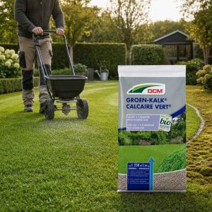 DCM Groene Kalk