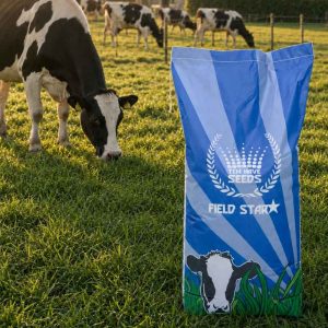 Graszaad Field Star Weidegras 11 - 15 kg
