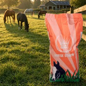 Graszaad Horse Star Paardenweide 15kg-1